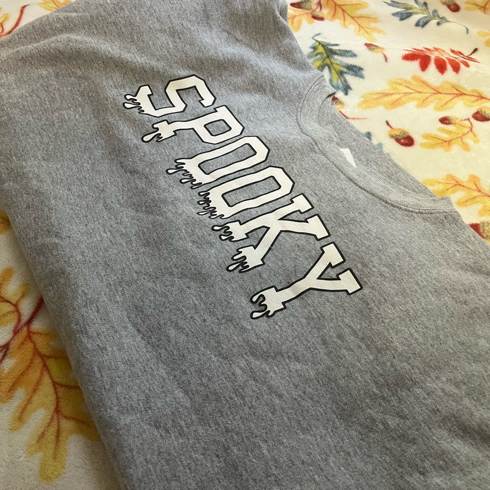 Hanes Gray Spooky Sweater